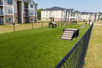Bark park with agility course